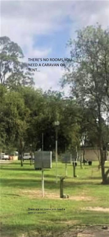 Tall Timbers Caravan Park Kempsey - Darwin Holiday 4