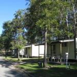 Tall Timbers Caravan Park Kempsey - Darwin Holiday 0