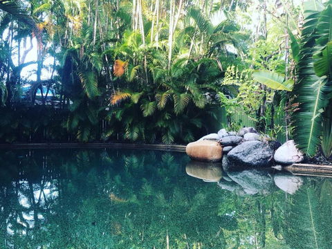 Crystal Palms - Darwin Holiday 5