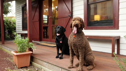 Coach House - Darwin Holiday 5