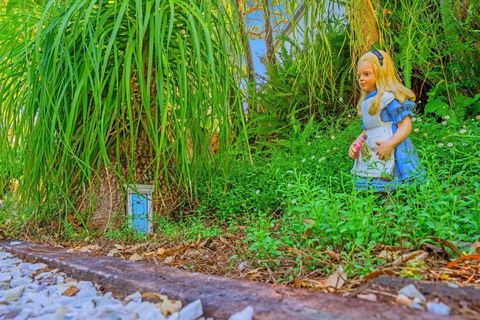 Cloud 9 Cliff Top Eagle Heights - Darwin Holiday 5