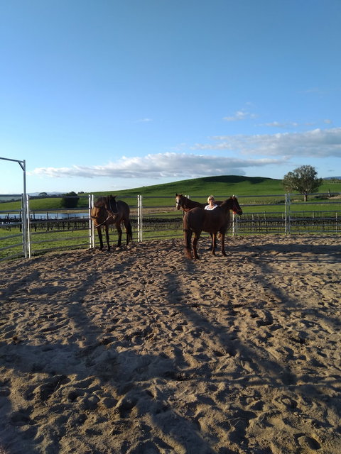 Altitude221 - Darwin Holiday 2