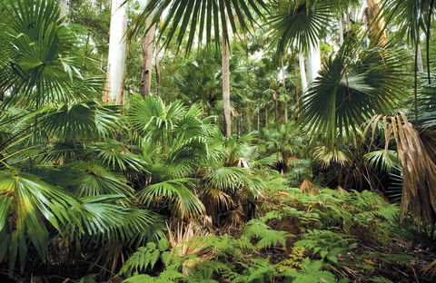 26 Wallis View - Opposite The Lake - 3 Bedroom Apartment - Sleeps 8 - Darwin Holiday 3