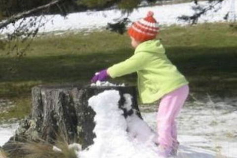 Castagni Bed & Breakfast - Darwin Holiday 6