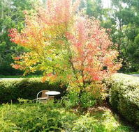 Acacia House Retreat Daylesford - Darwin Holiday