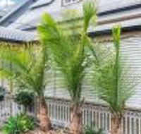 One Thornbury Boutique B  B - Darwin Holiday
