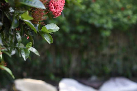 Sealords - Darwin Holiday 3