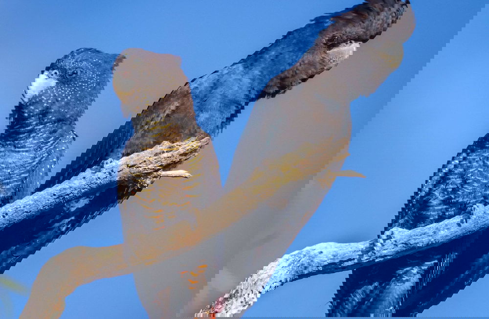 Burnside WA Darwin Holiday