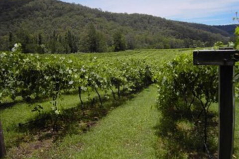 Cedar Creek Cottages - Darwin Holiday 2