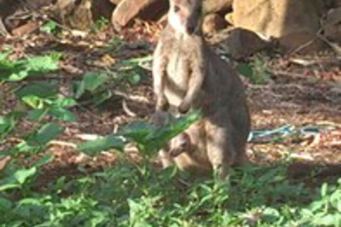 Sunbird Motel - Darwin Holiday 1