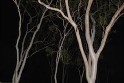 Sunbird Motel - Darwin Holiday 4