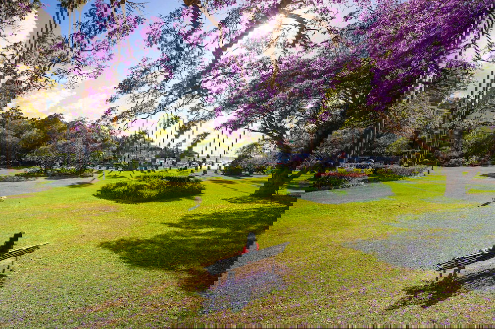 Warrawee NSW Darwin Holiday