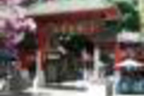 The Harbour Phoenix - Darwin Holiday 4