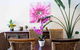 4 Ensuite Chelsea Villa CBD Airport - thumb 2