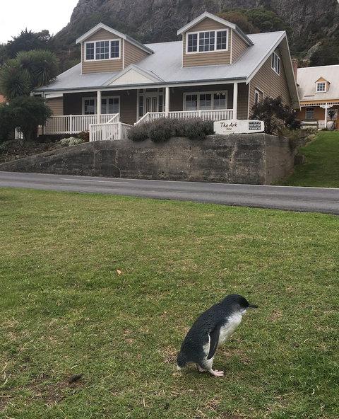 The Ark Stanley - Darwin Holiday 4