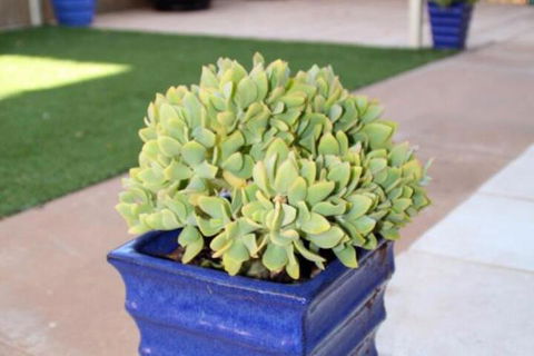 Sunset Retreat - Darwin Holiday 3