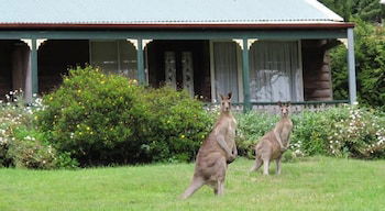 Cedar Lodge Cabins - Darwin Holiday 0