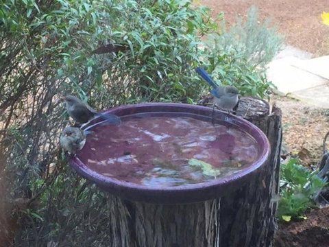 Dunsborough Ridge Retreat - Darwin Holiday 6