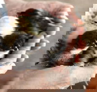 Margaret River Hideaway - Darwin Holiday