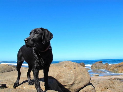 Beachside Prevelly Villas - Darwin Holiday 2