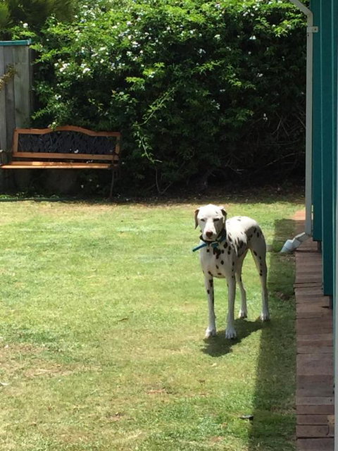 Beachside Prevelly Villas - Darwin Holiday 3