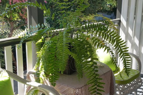 Elindale House Bed & Breakfast - Darwin Holiday 4