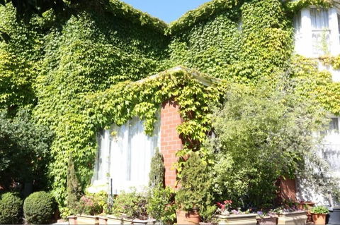 Kilmarnock House - Darwin Holiday 1