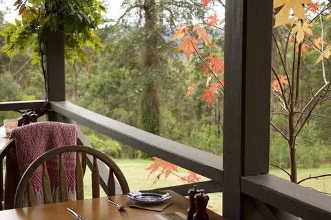 The Rustic Spirit - Darwin Holiday 4