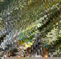 The Miners Rest Motel - Darwin Holiday