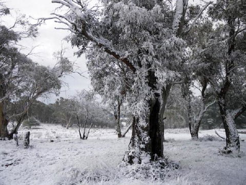 Alpha Centauri 8 Budget Jindabyne Holiday Apartment - Darwin Holiday 3