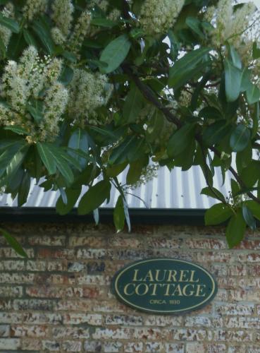 Laurel Cottage - Darwin Holiday 1