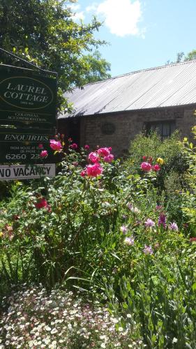 Laurel Cottage - Darwin Holiday 5