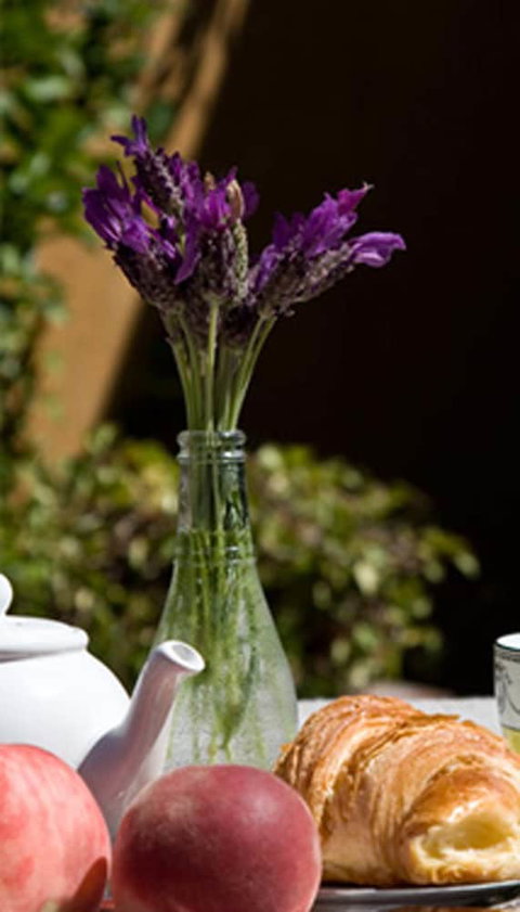 At Eleven - Darwin Holiday 0