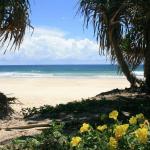 Ozone Shores - Darwin Holiday 0