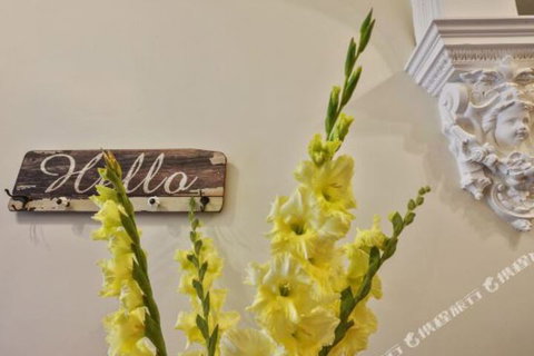 The Accommodation Group Nineteen20 Invermay - Darwin Holiday 6