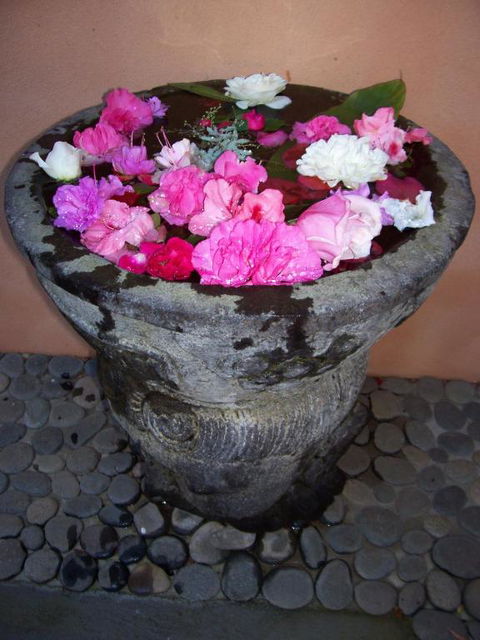 Riveresque - Darwin Holiday 2