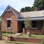 The Olives - Darwin Holiday 0