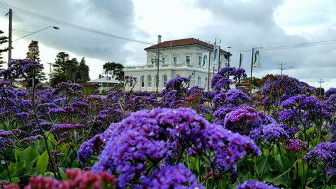 Georgia - Darwin Holiday 3