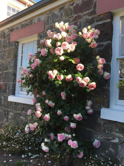 Georgia - Darwin Holiday 6