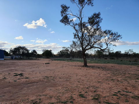 Mungo Roo - Darwin Holiday 4