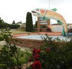 Big Trout Motel - Darwin Holiday