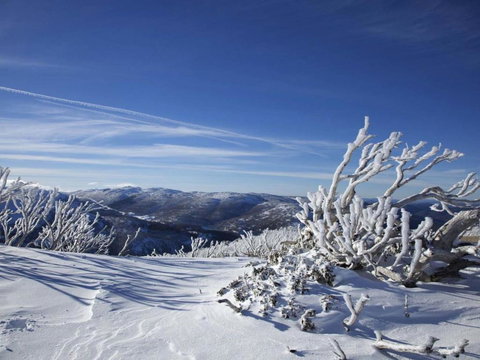 Snowy Saga 1 Jindabyne - Darwin Holiday 3