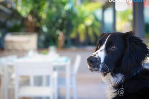Bay Dream Believer 16 Verona Road Pet Friendly Boat Parking & WIFI - Darwin Holiday 4