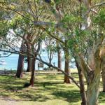 32 Bay Parklands 2 Gowrie Avenue Fantastic Unit With Air Conditioning Pool Tennis Court & Spa - Darwin Holiday 0