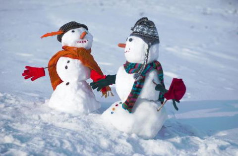 Braeside 1 Bedroom. East Jindabyne - Darwin Holiday 4