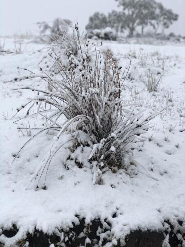 Braeside 1 Bedroom. East Jindabyne - Darwin Holiday 6