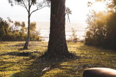 Seagrass On Sunset Bay - Darwin Holiday 1