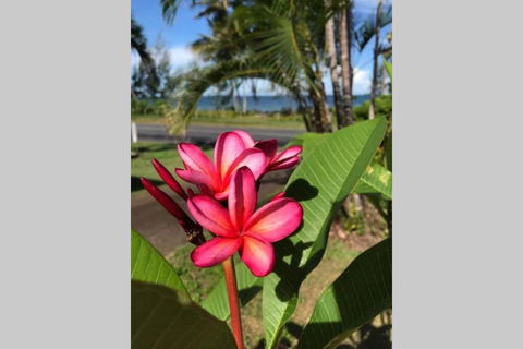 Mission Possible - Darwin Holiday 6