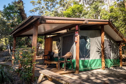 Binna Burra Rainforest Campsite - Darwin Holiday 5