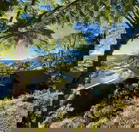 Binna Burra Rainforest Campsite - Darwin Holiday